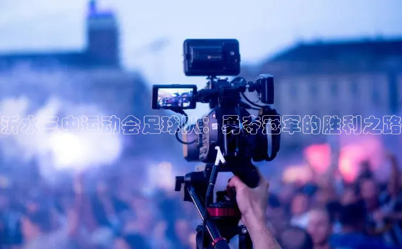 极悦娱乐平台蓝色光标沂水三中运动会足球队：勇夺冠军的胜利之路