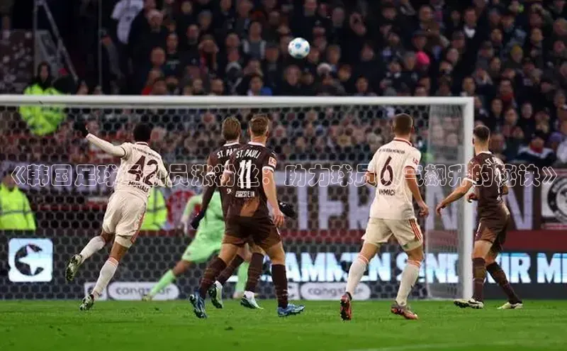 极悦注册百度识图《韩国足球运动员涨粉丝：助力球员人气飙升的秘诀》