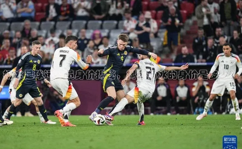 极悦娱乐平台百度百聘杨冰足球运动员身价揭秘，揭秘杨冰的身价是多少？