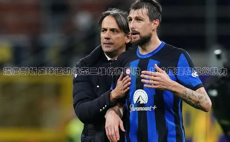 极悦注册阿里尔公司深度剖析足球运动状态二维仿真图片，技术原理和视觉魅力