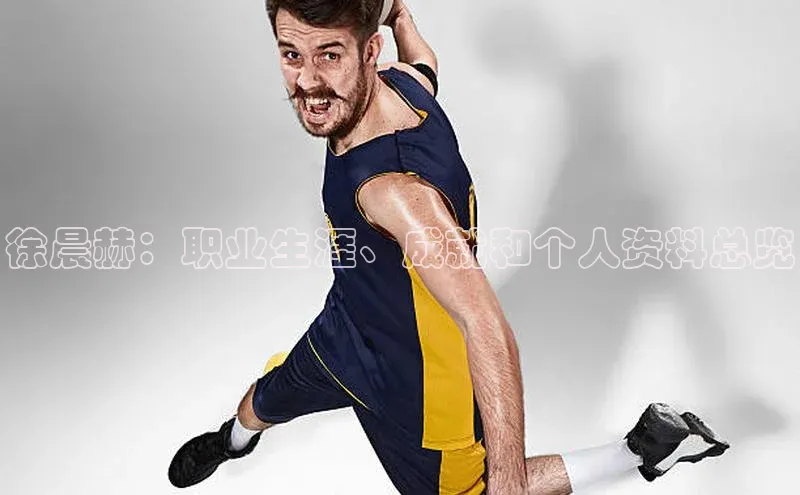 极悦注册天下秀徐晨赫：职业生涯、成就和个人资料总览