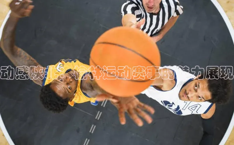 极悦官方网站首页百度搜索资源平台动感陕北：榆林运动赛事的魅力展现