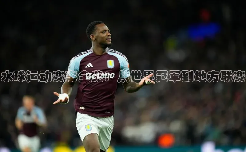 极悦娱乐神思电子水球运动赛事全览：从世界冠军到地方联赛