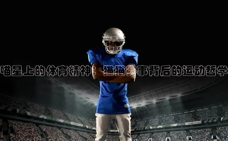 极悦登录百度智能云喵星上的体育精神：猫猫赛事背后的运动哲学