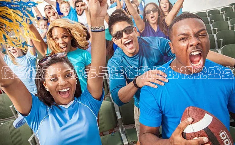 候鸟运动：赛事与迁徙轨迹的视觉盛宴