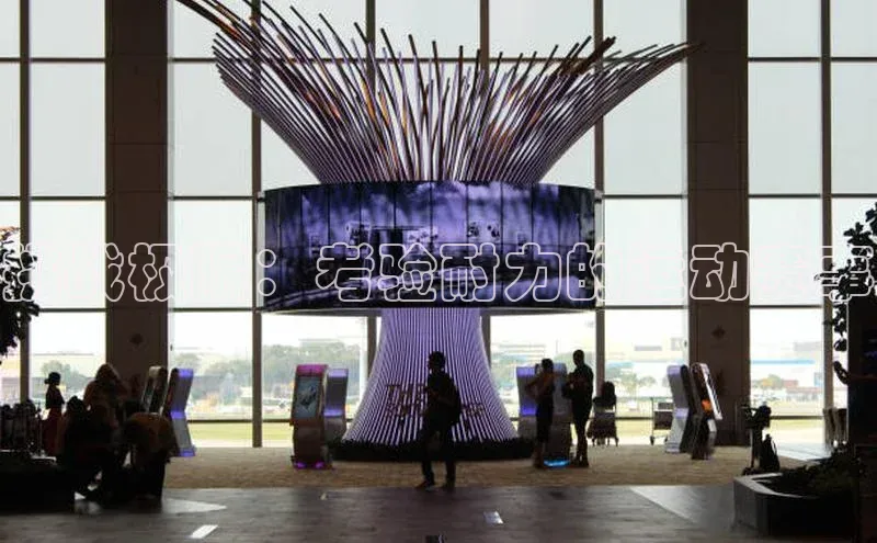 挑战极限：考验耐力的运动赛事