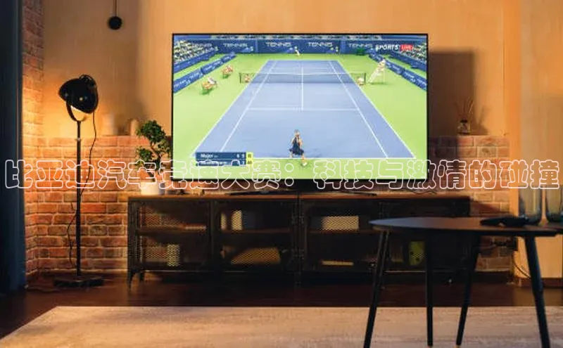 比亚迪汽车竞速大赛：科技与激情的碰撞