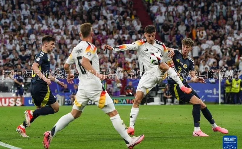 襄阳运动会赛事：体育精神的盛会与群众参与的热情