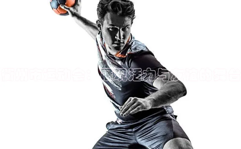 衢州市运动会：展现活力与友谊的舞台