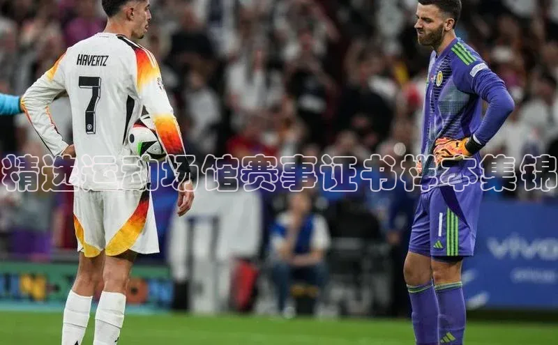 精选运动场馆赛事证书样本集锦