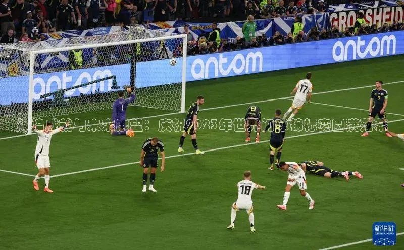 辉煌成就与未来展望：庆祝2023年世界门球锦标赛圆满落幕