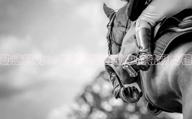 动感魅力：各类赛事运动中的精彩亮相