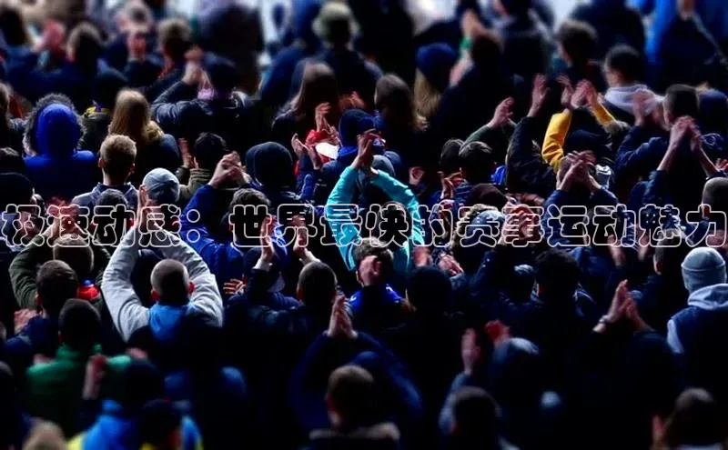 极速动感：世界最快的赛事运动魅力