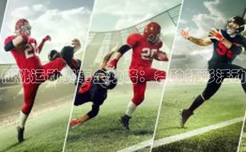 仙桃运动赛事全攻略：各种精彩活动