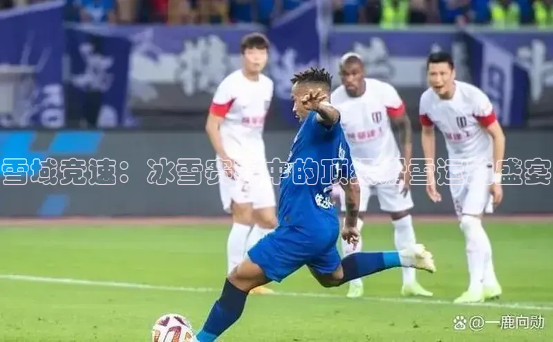 雪域竞速：冰雪赛事中的顶级滑雪运动盛宴