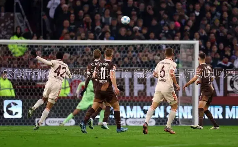 太仓运动会上最期待的项目：精彩赛事与运动员风采