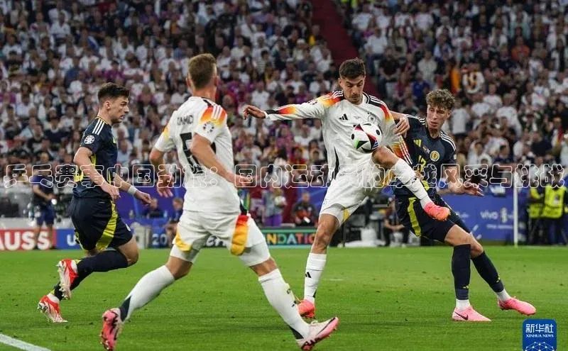 乒乓赛事中国劲旅：国内运动员的卓越风采与挑战