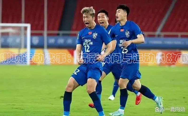 哪项运动赛事：精彩瞬间与运动员故事